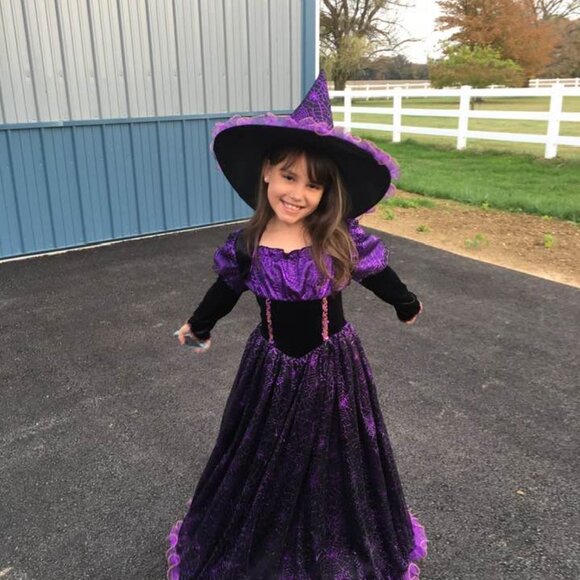 Chasing Fireflies Hallows Eve Spider Witch Purple Black Velvet Halloween Costume - Picture 7 of 16